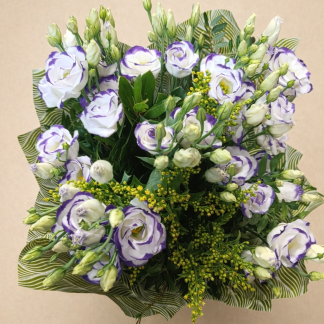 Eustoma w dobrym tonie