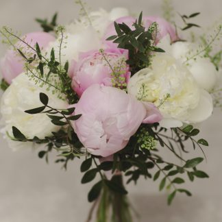 Subtelna elegancja piwonii